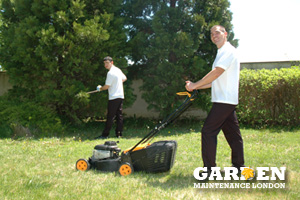 Garden Cleaning West Kensington