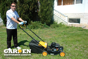 Garden Maintenance Old Malden