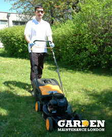 Garden Services Morden