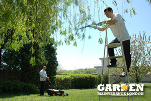Garden Weeding Tower Hamlets